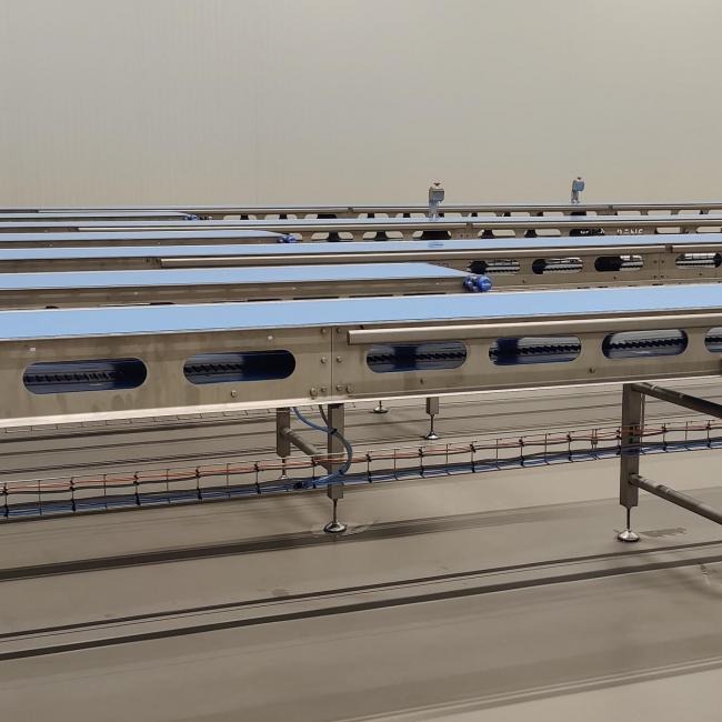 conveyors systems, hygienic conveyor 